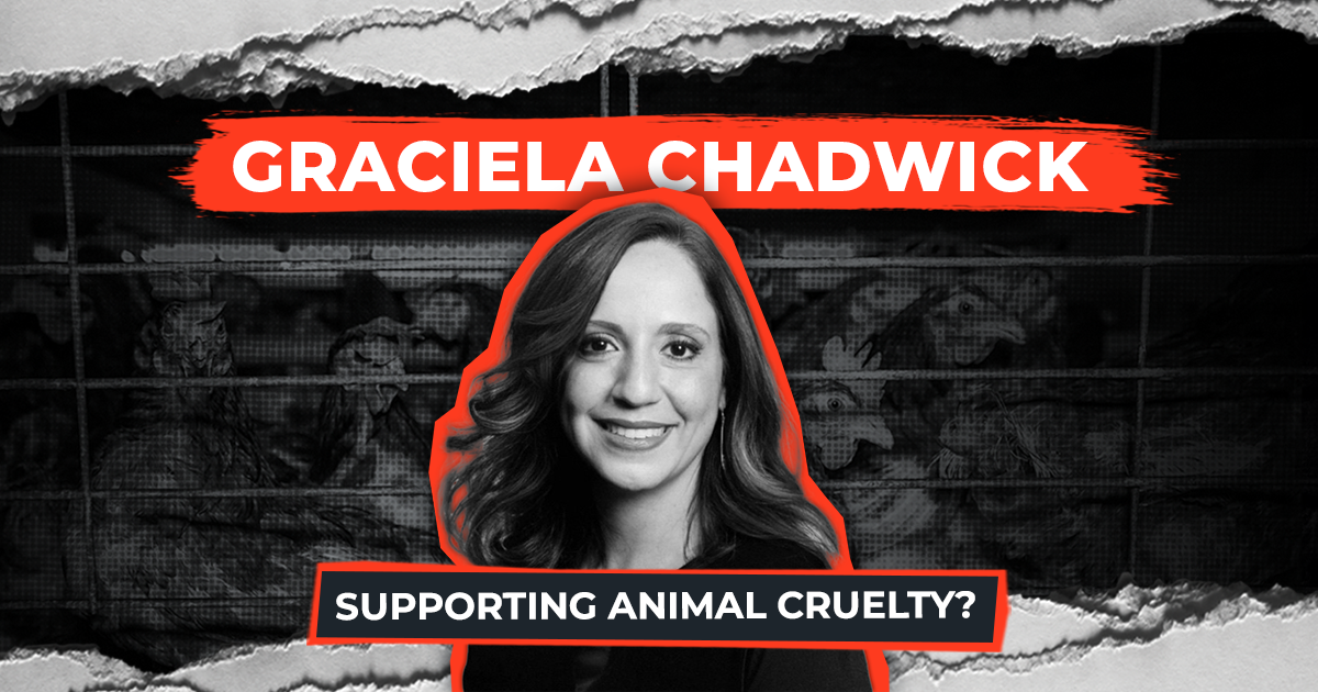 gracielachadwick
